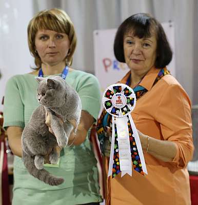   22-23  2014,     22-23  2014    169A8382 copy.jpg